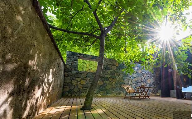 同信·愛(ài)家壹號(hào)|曾經(jīng)江湖策馬，如今院里觀花！