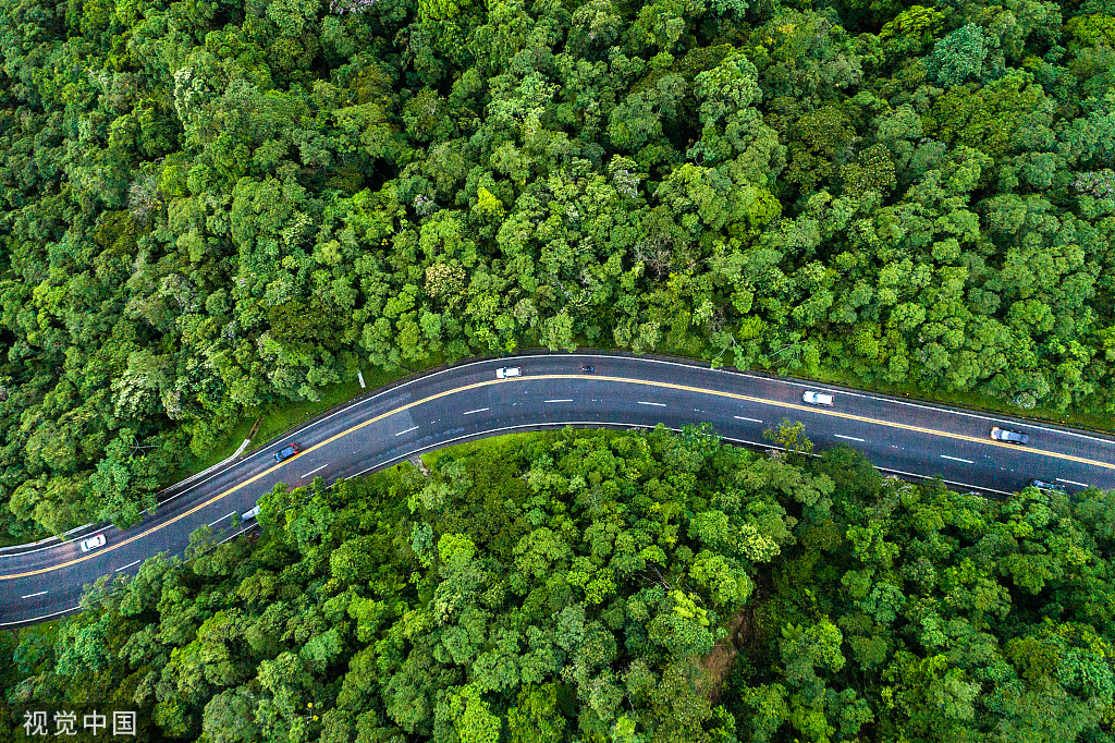 福利請查收丨點亮團(tuán)圓路，與愛相伴同心同行！