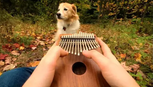 河畔有約丨看見指尖藝術(shù)，聆聽幻彩音符！